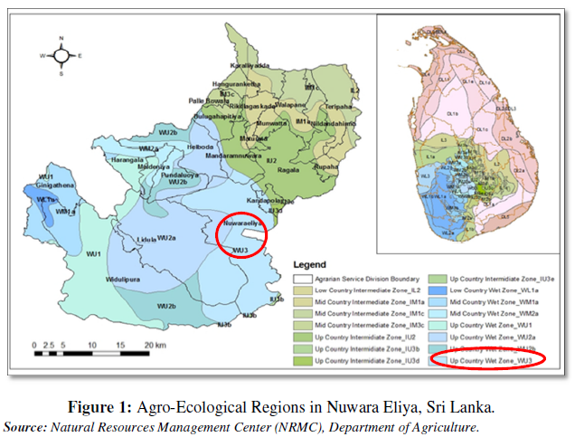 eco agro tourism in sri lanka