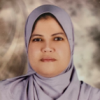 Dr. Lobna Khamis Mohamed 